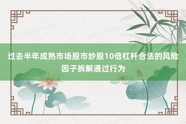 过去半年成熟市场股市炒股10倍杠杆合法的风险因子拆解通过行为