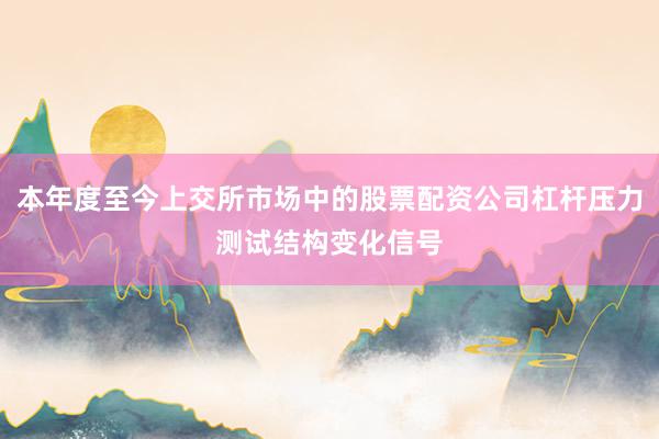 本年度至今上交所市场中的股票配资公司杠杆压力测试结构变化信号