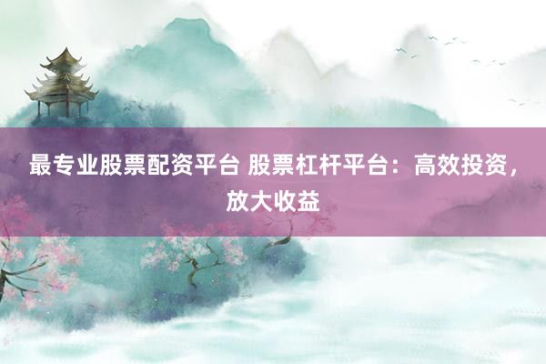 最专业股票配资平台 股票杠杆平台：高效投资，放大收益