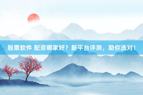 股票软件 配资哪家好？新平台评测，助你选对！